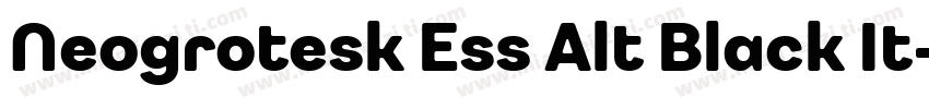 Neogrotesk Ess Alt Black It字体转换